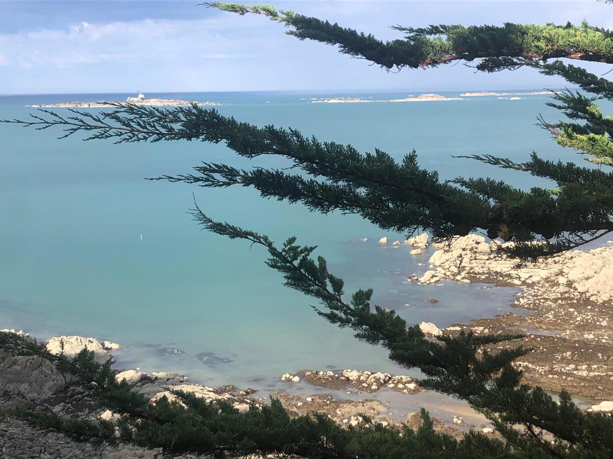 Willa L'Annexe Saint-Quay-Portrieux Zewnętrze zdjęcie